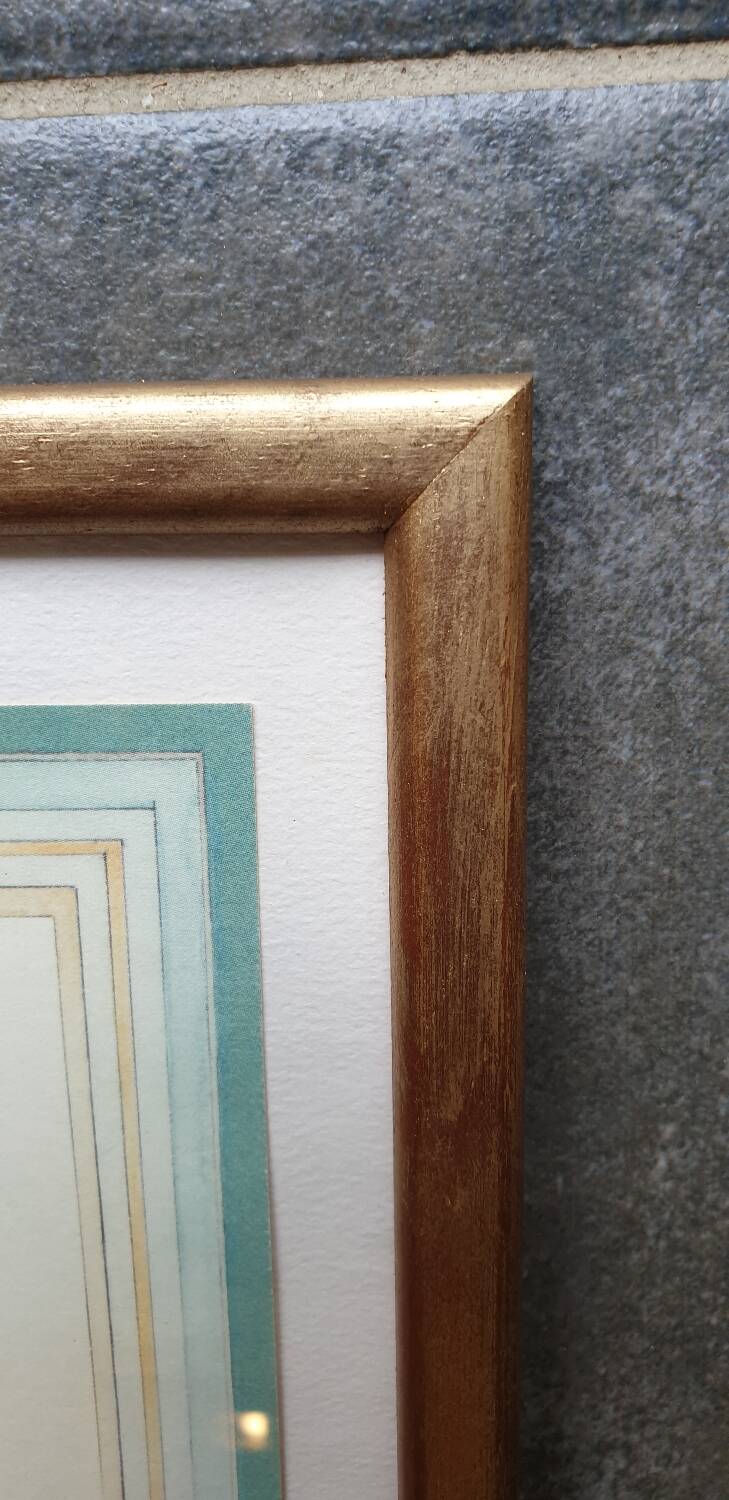 Calville apple botanical board