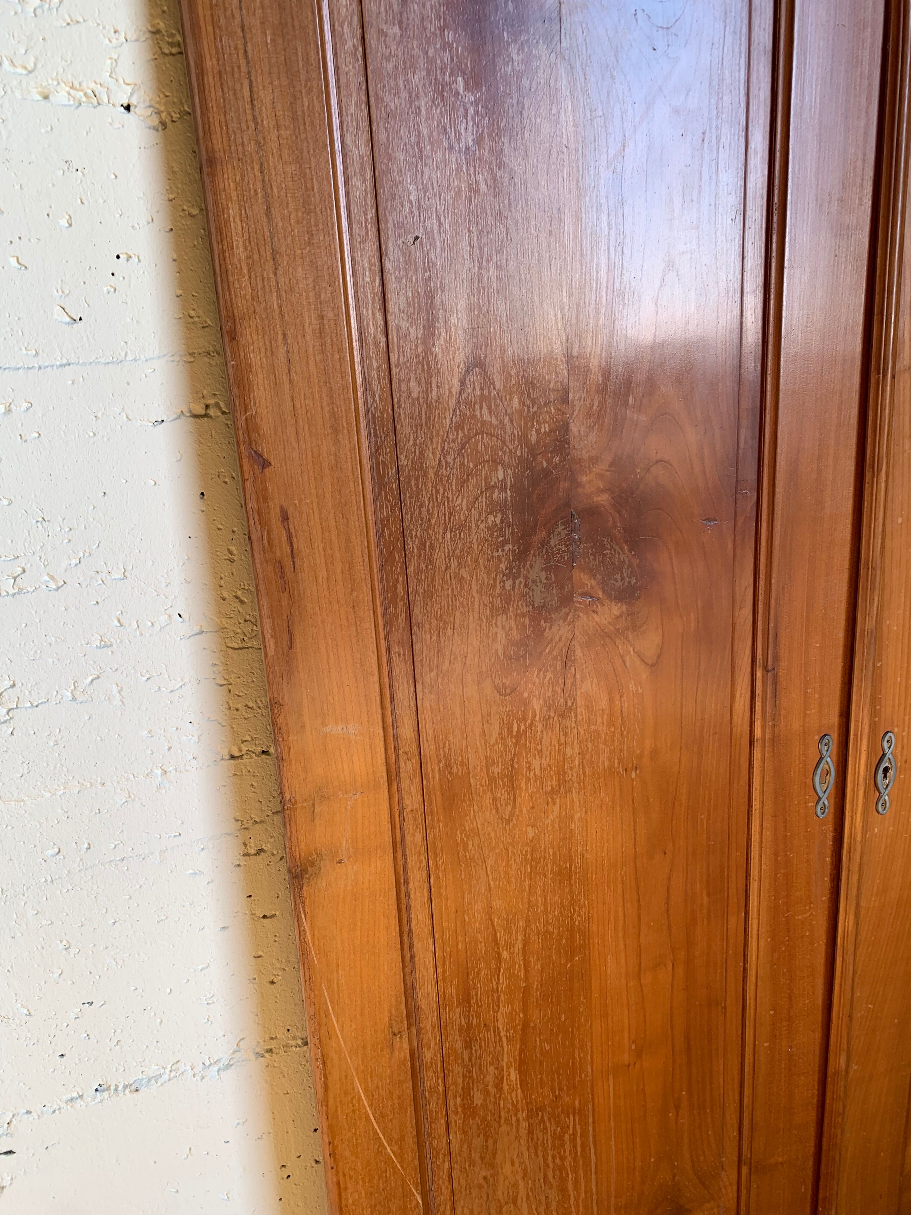 Paire de portes en merisier