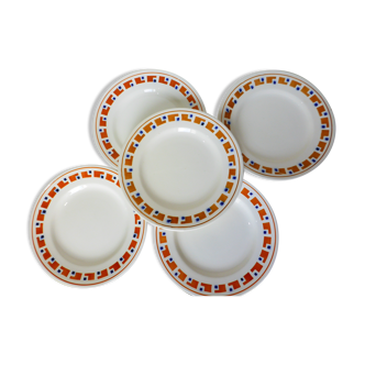 5 flat plates in iron earth of the Salins model Lucette 210834