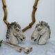 Horse heads
