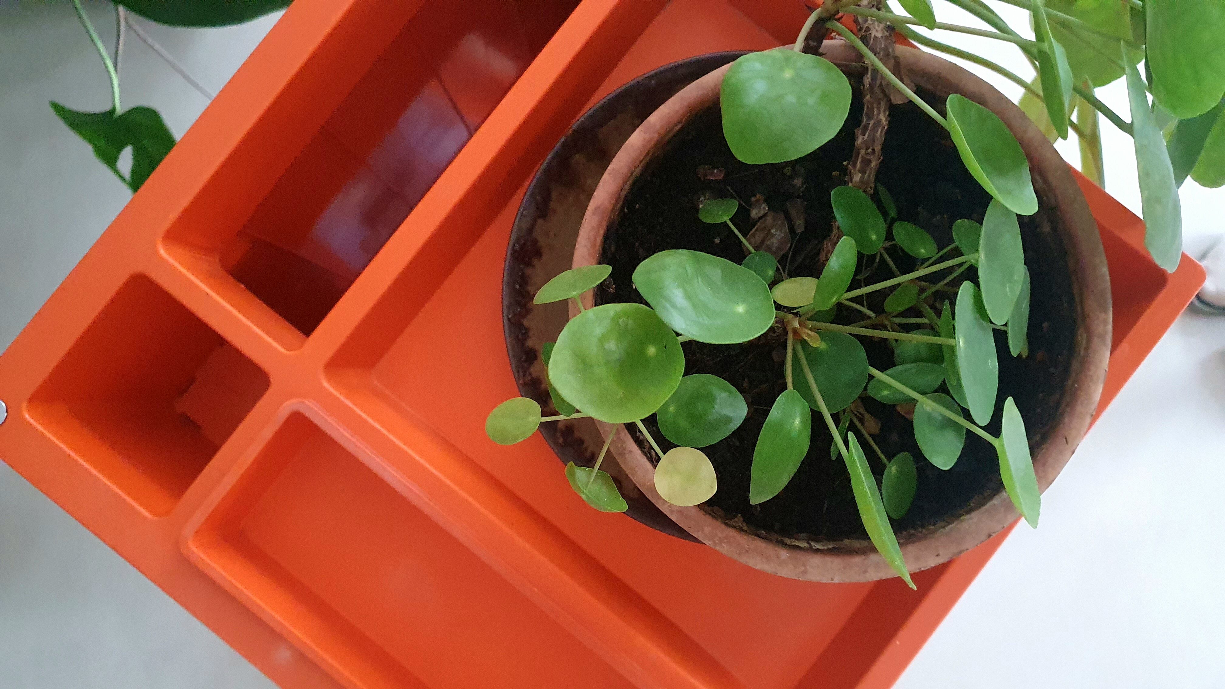 Rolling service Bieffe Padova