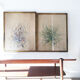 Pair of vintage paintings 1950 frame gilded wood