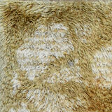 Modern carpet 260 cm X 180 cm
