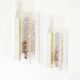 Pair of wall lamps in brass and glass by Doria Leuchten