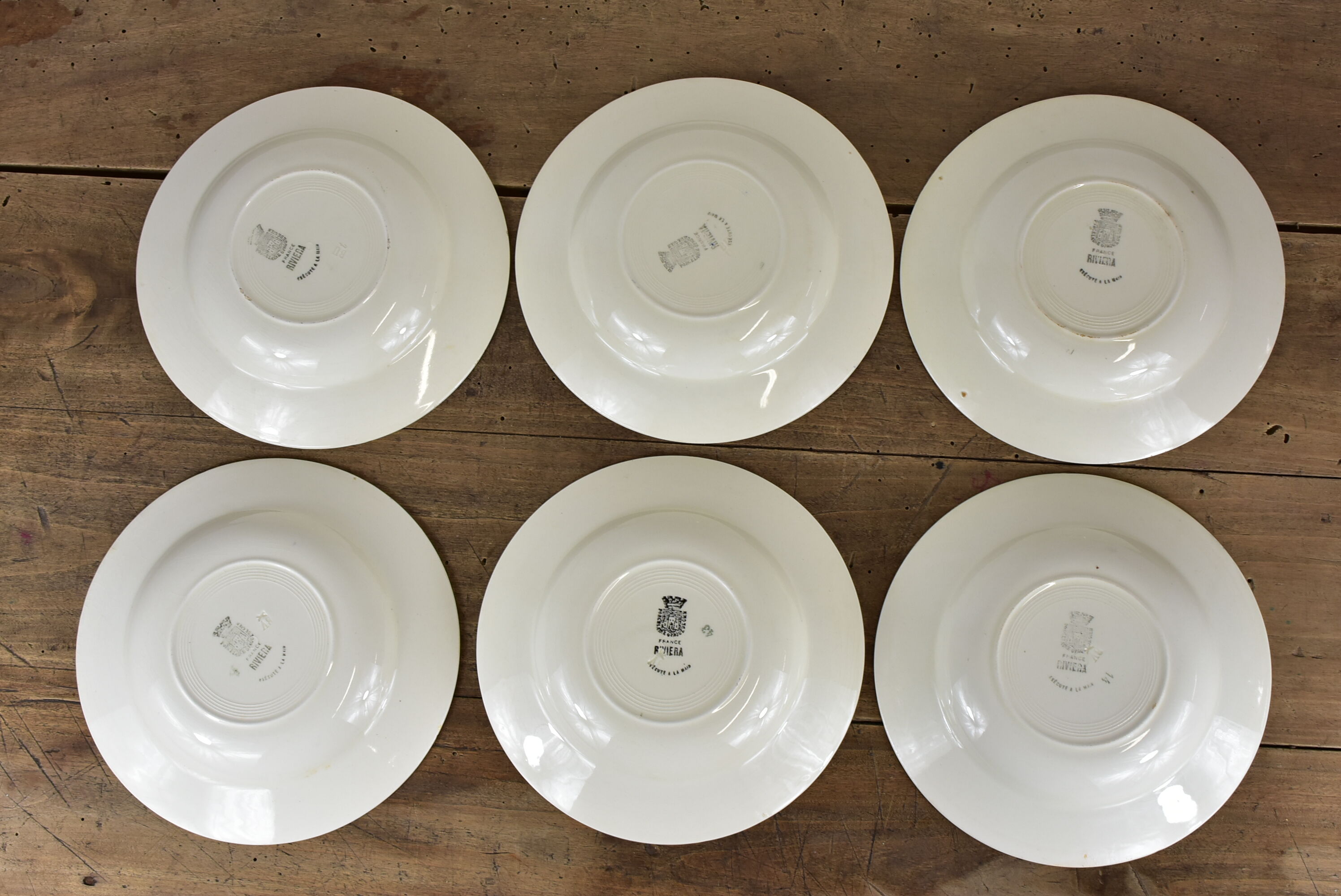 Lot de 12 assiettes motif fleurs de champagne.
