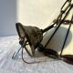 Pair of glass pendant lights in Art Nouveau Tiffany style