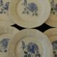6 flat plates in Digoin Sarreguemines earthenware. Blue rose decoration.
