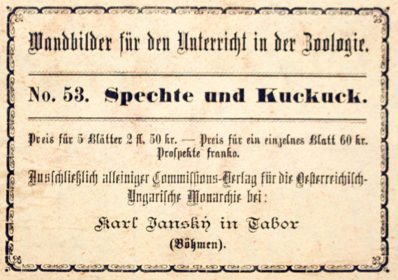 Educational poster, cuckoo and penis, lithograph, Karl Jansky, Böhmen, 1897
