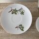 Vintage porcelain herbarium service 6 cups with plates