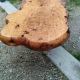 Table basse tronc d'arbre en loupe d'orme