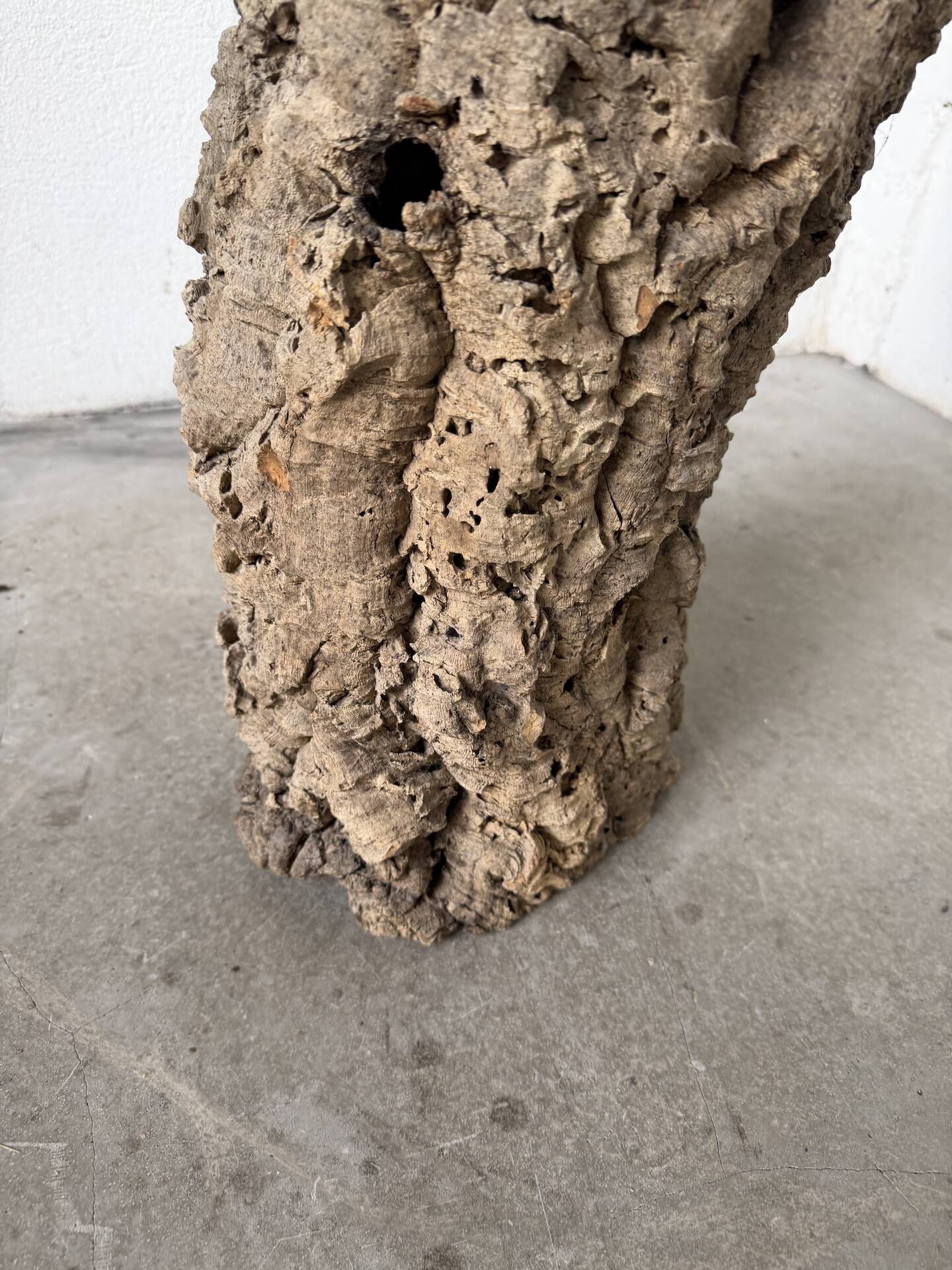 XL cork bark vase
