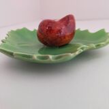 snail fork holder in snail slurry on tree leaf