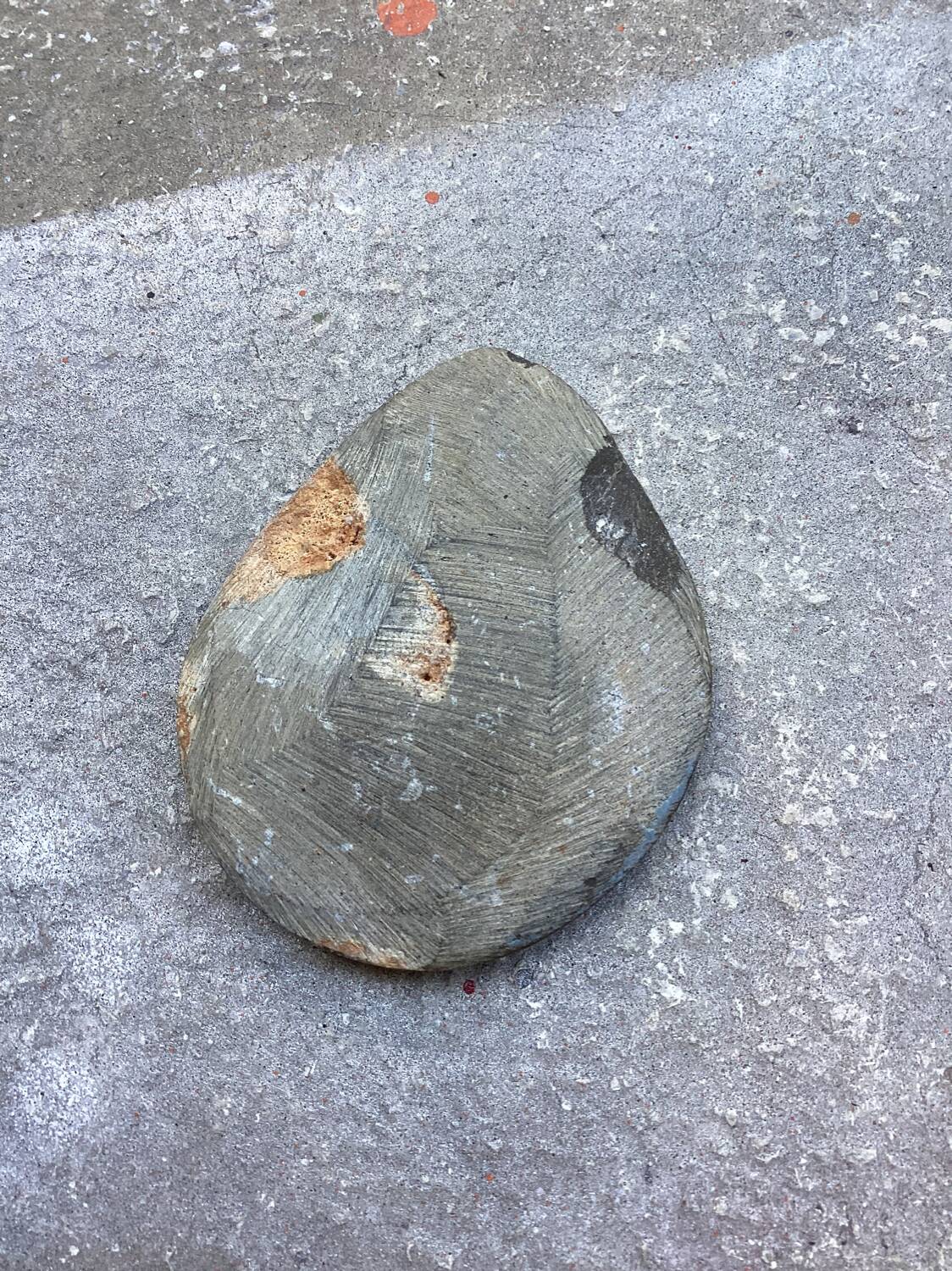 Small polished ammonite