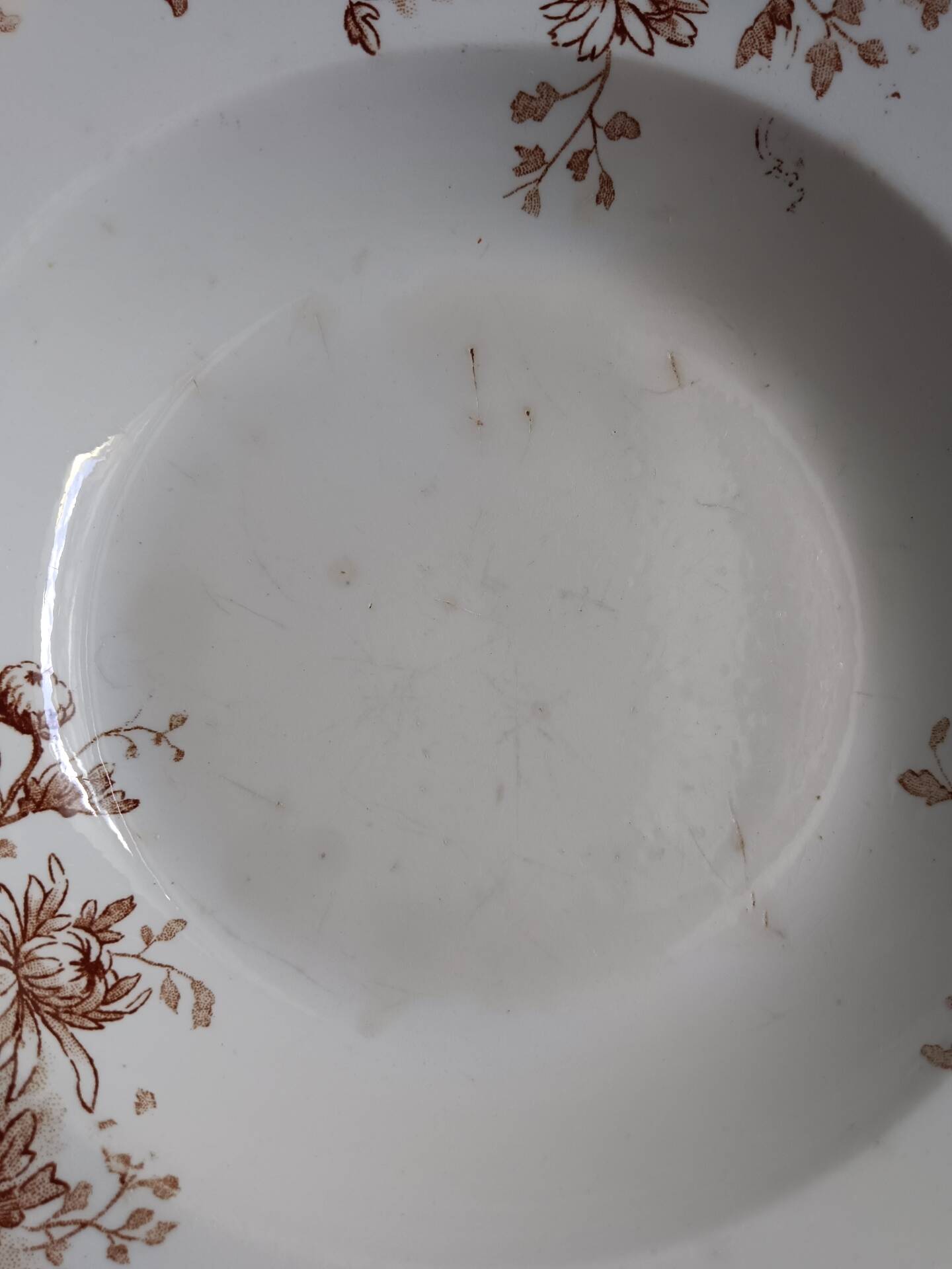 Large deep plate Terre de fer Gien Autumn