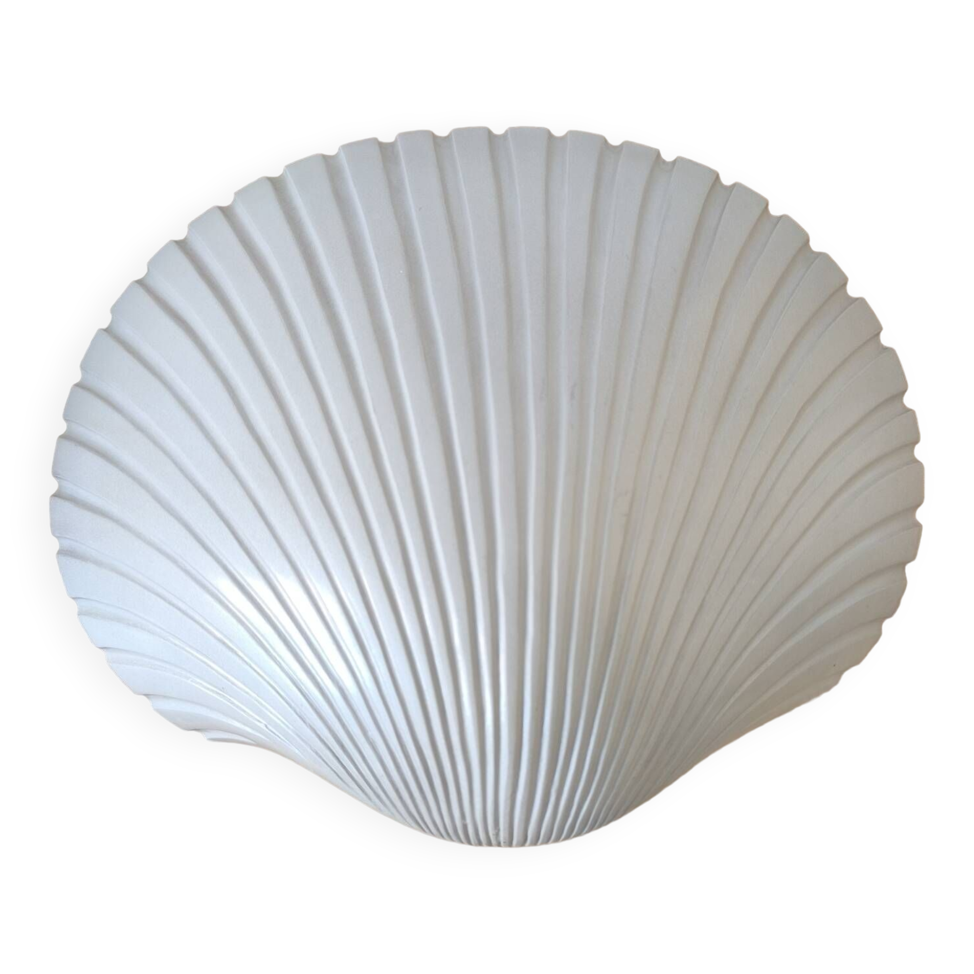 Pair of shell wall lights by Michèle Mahé, 1960s