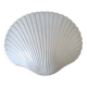 Pair of shell wall lights by Michèle Mahé, 1960s