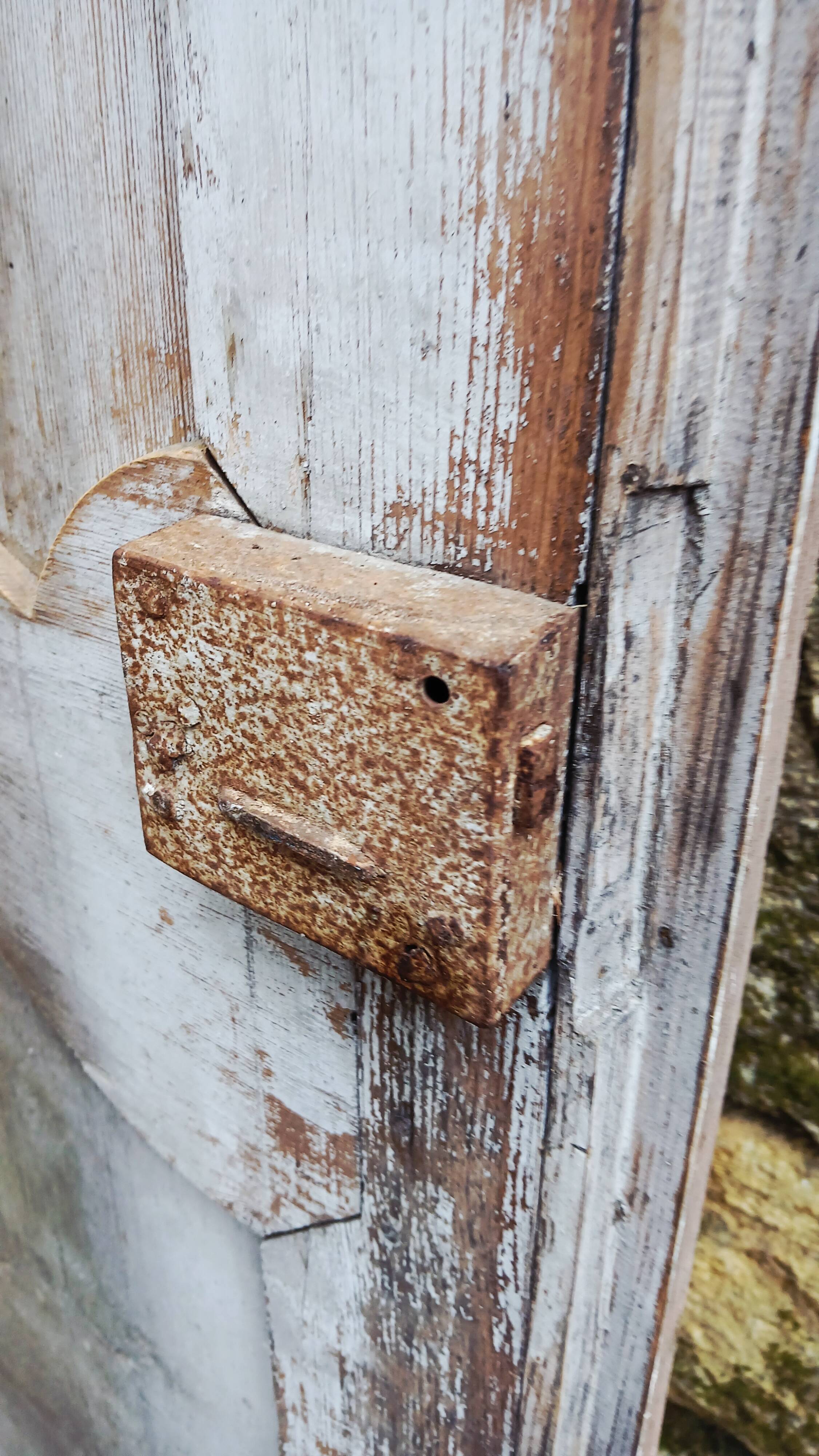 Pair of antique doors