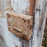 Pair of antique doors