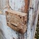 Pair of antique doors