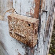 Pair of antique doors