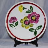 Large dish