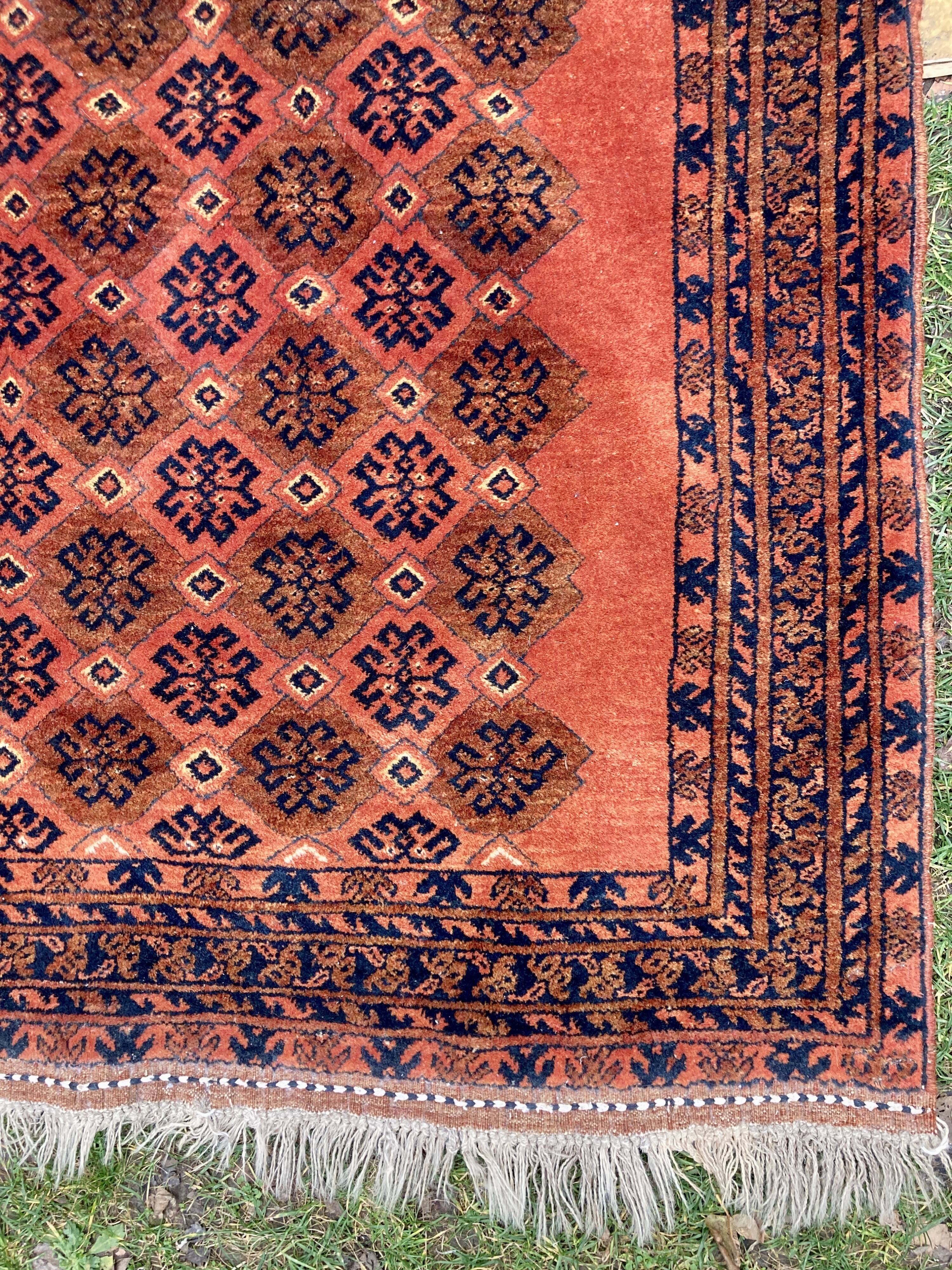 Afghan wool rug - 105 x 165
