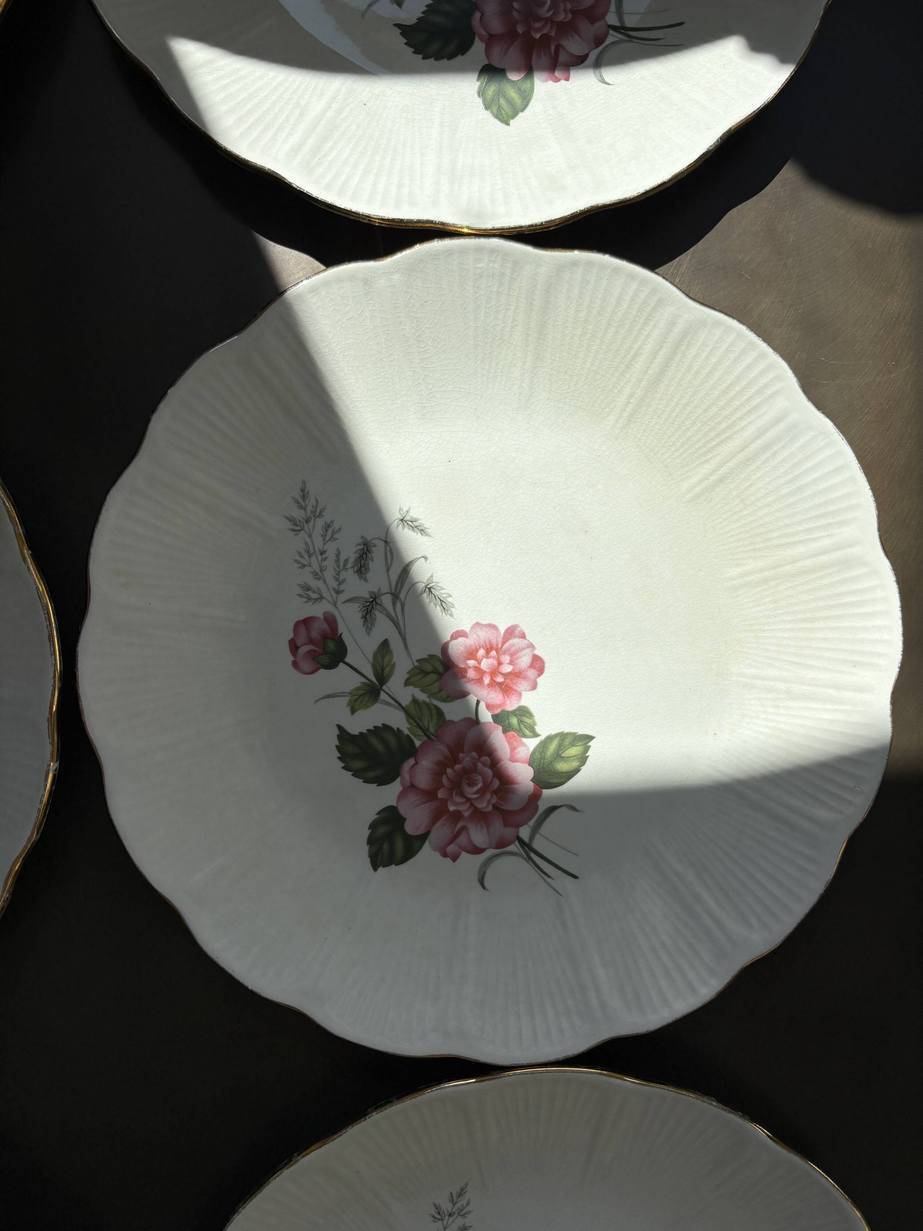 8 Amandinoise dinner plates