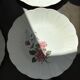 8 Amandinoise dinner plates