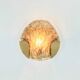 Mid-Century Modern Murano Glass & Brass Wall Light from Kaiser, 1960s