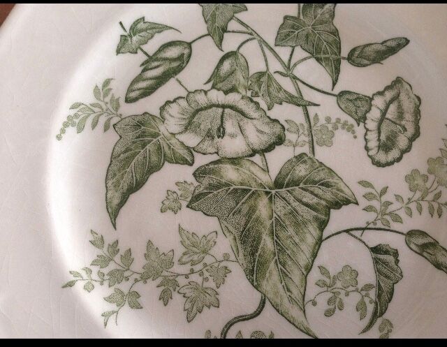 Lot of 6 Gien flat plates