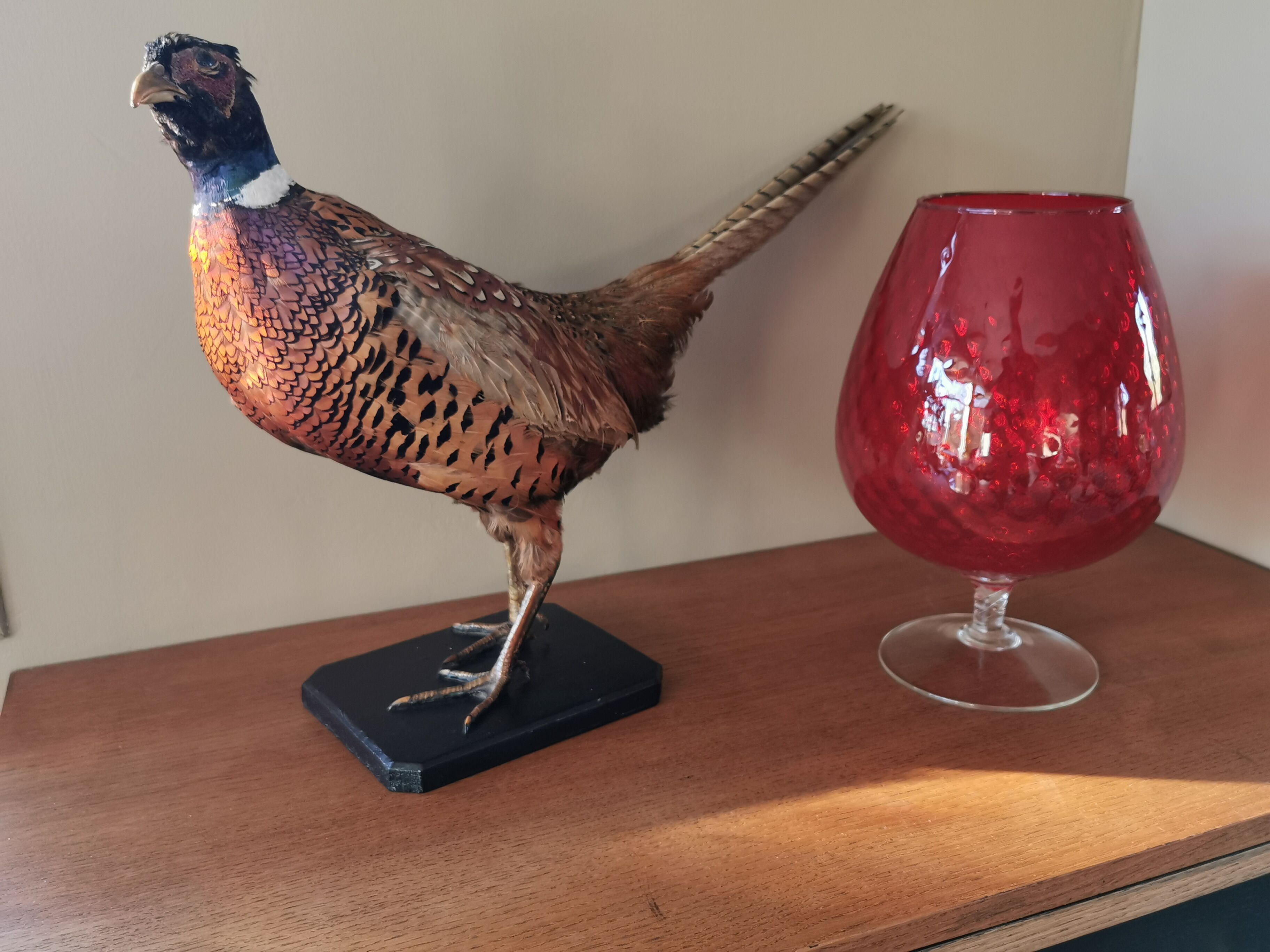 Vintage red tulip vase