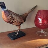 Vintage red tulip vase