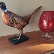 Vase tulipe vintage rouge