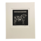 Mario avati (1921-2009), merinos, black manner, 1970