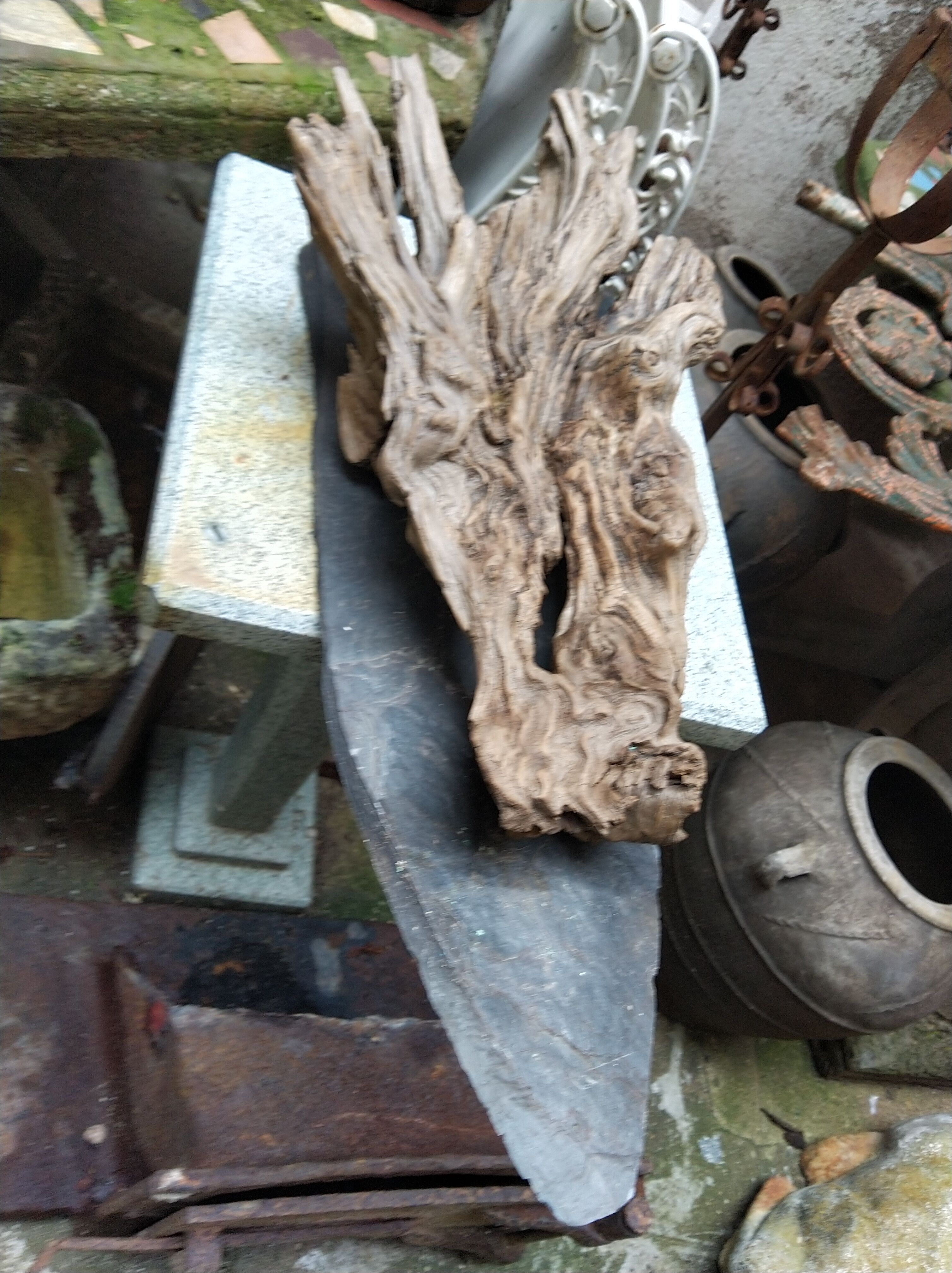 Natural wood sculptural coat rack