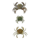 Antique engravings from 1839 - Portune crabs - Hand-colored plate