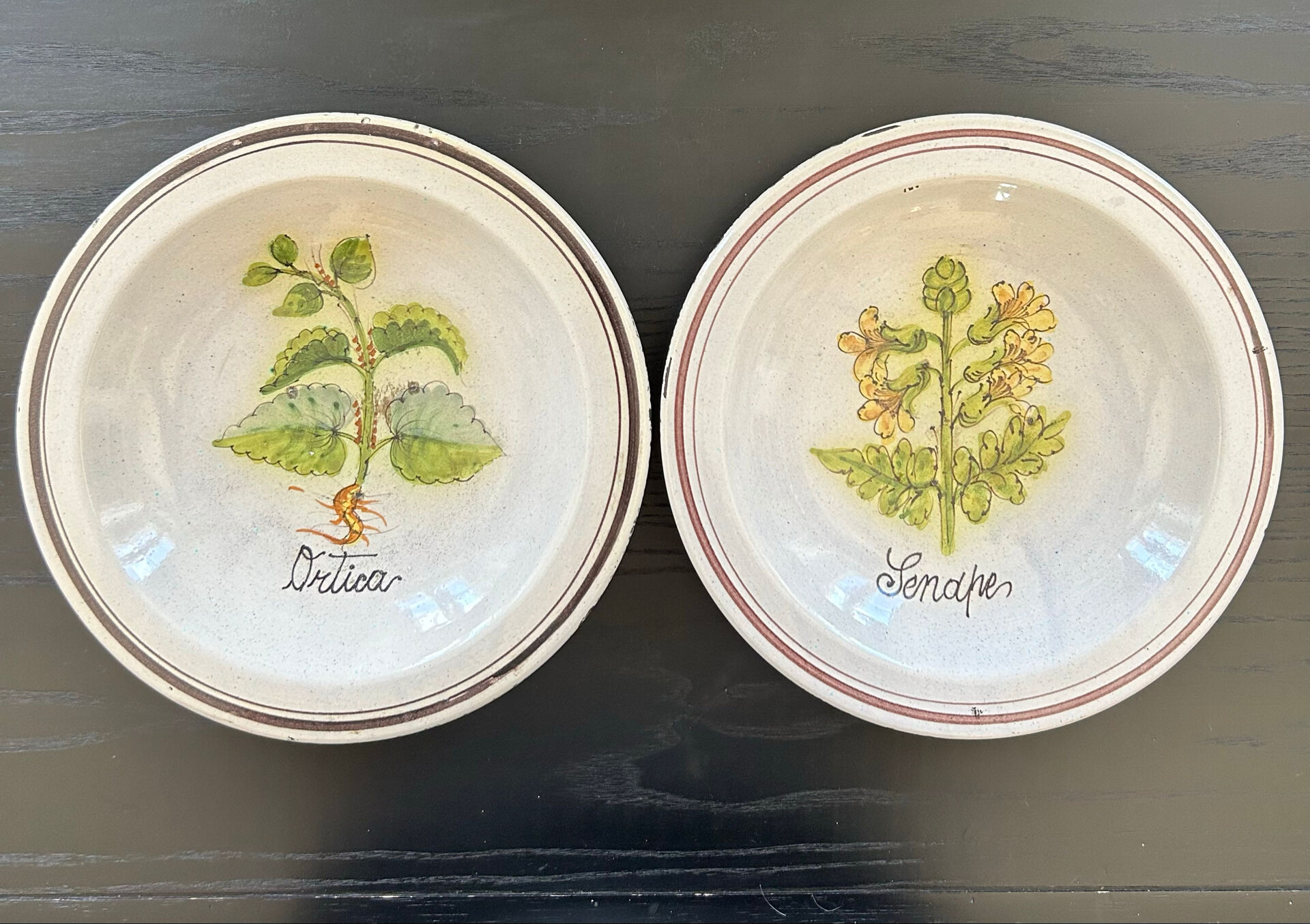 Collection de 2 plats botaniques made in Italy