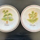 Collection de 2 plats botaniques made in Italy