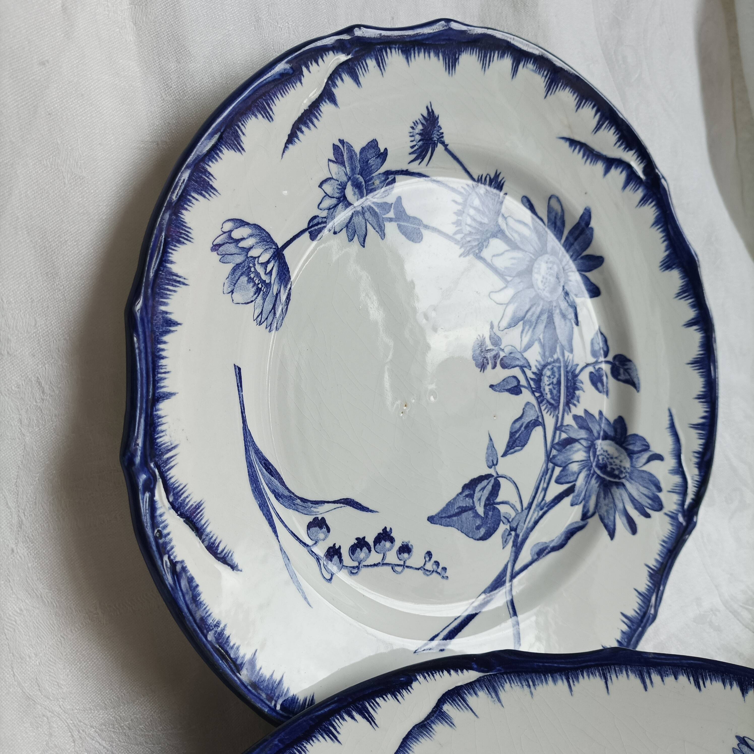 6 antique plates Creil & Montereau Sunflower model blue – 19th century