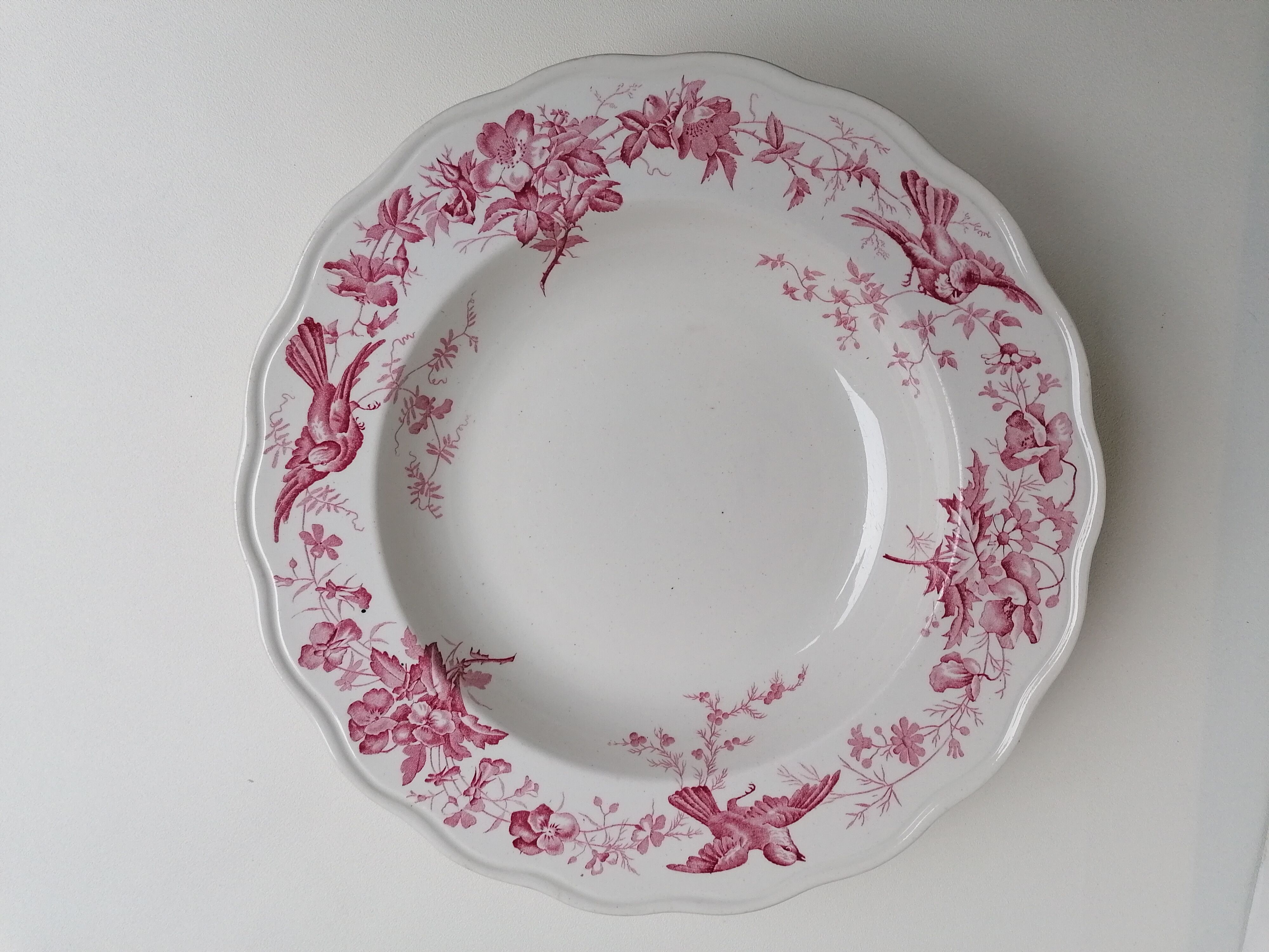 6 hollow plates English earthenware Cauldon England from the great depot E. Bourgeois