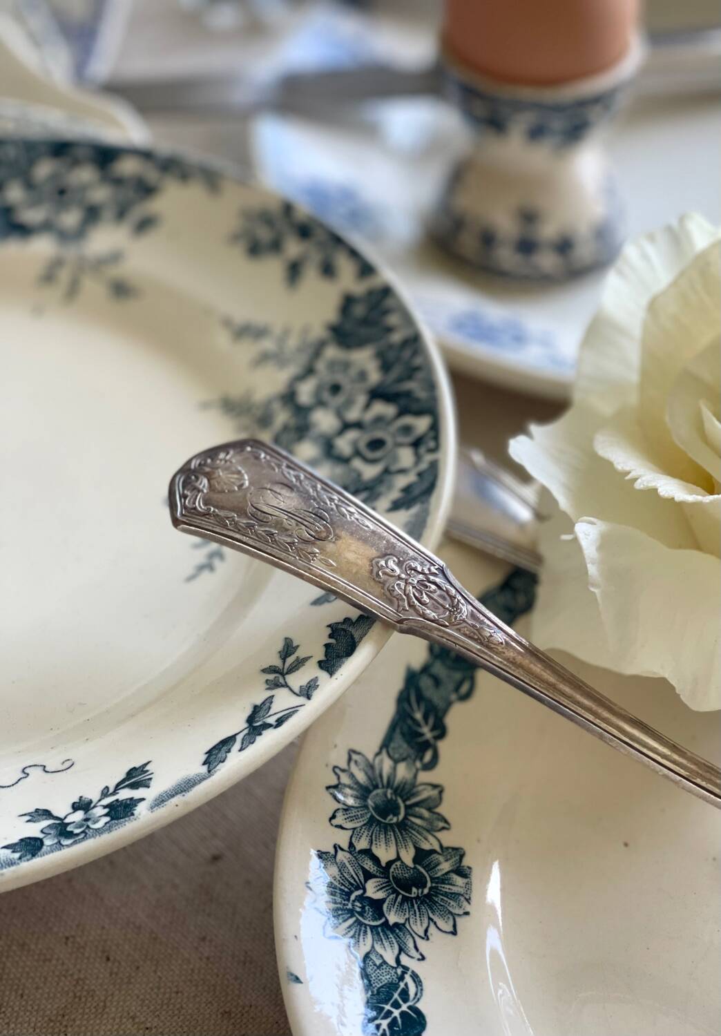 9 mismatched blue ironstone plates