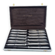 Set of 12 sfam knives in silver metal and stainless steel blades.