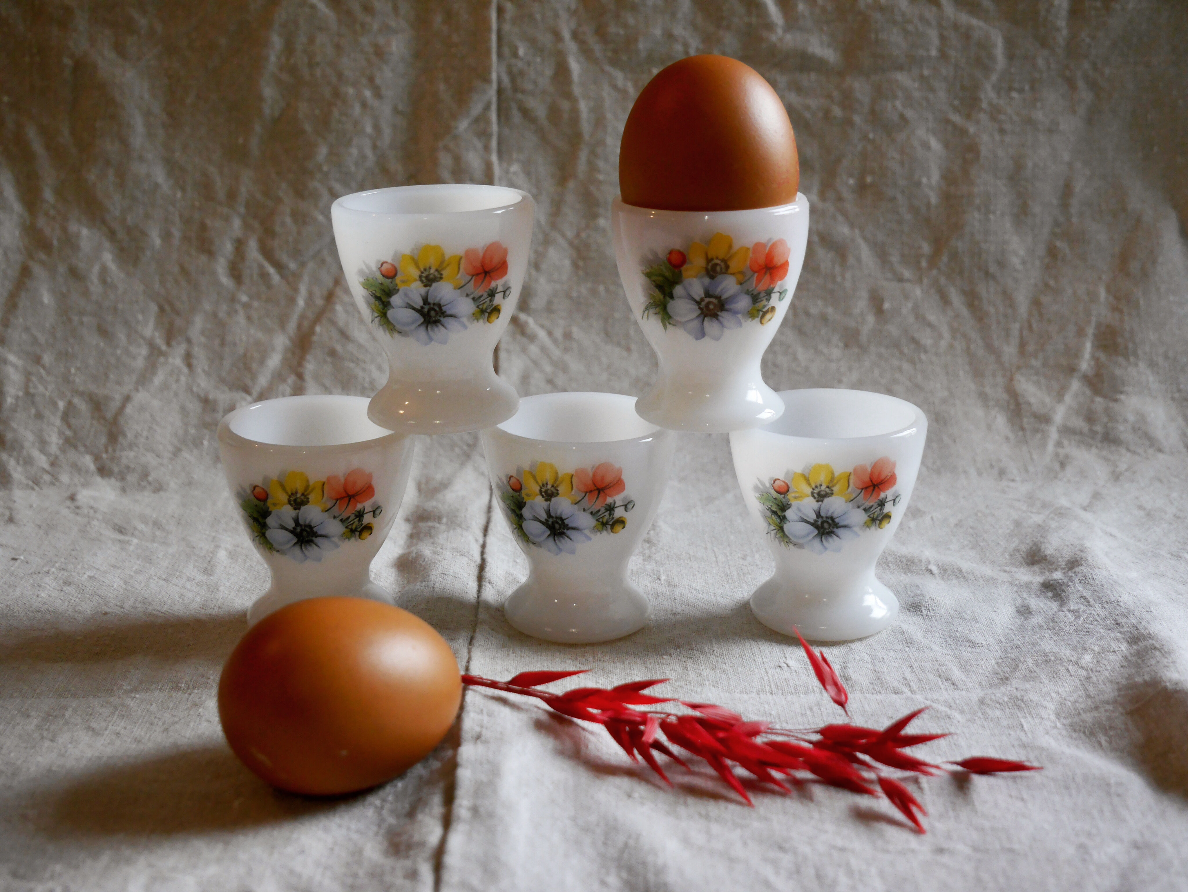 Set of 5 cockroaches Arcopal