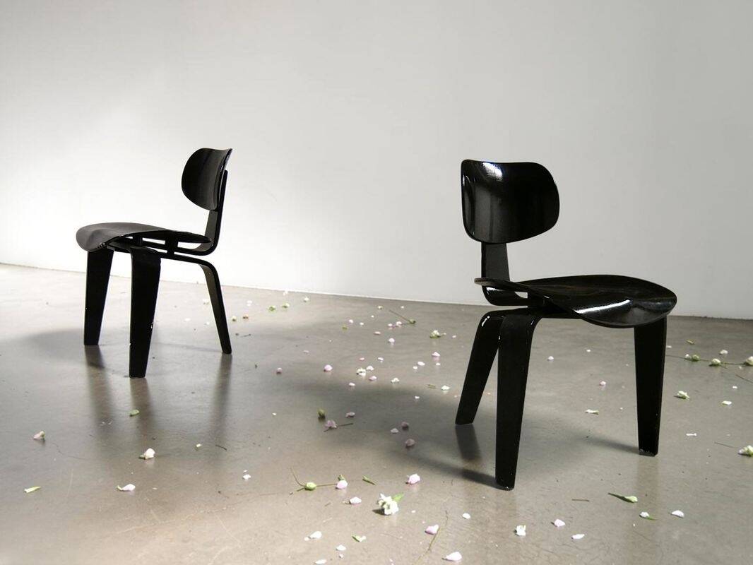 "SE 42" chairs pair by Egon Eiermann - Vintage
