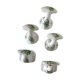 Set of 5 Limoges porcelain patères