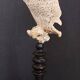 Cabinet of Curiosities sponge carteriospongia foliascens on base