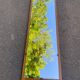 Vintage Scandinavian mirror in solid oak 42x148.