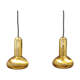Hanging lamps by Hans Agne Jakobsson