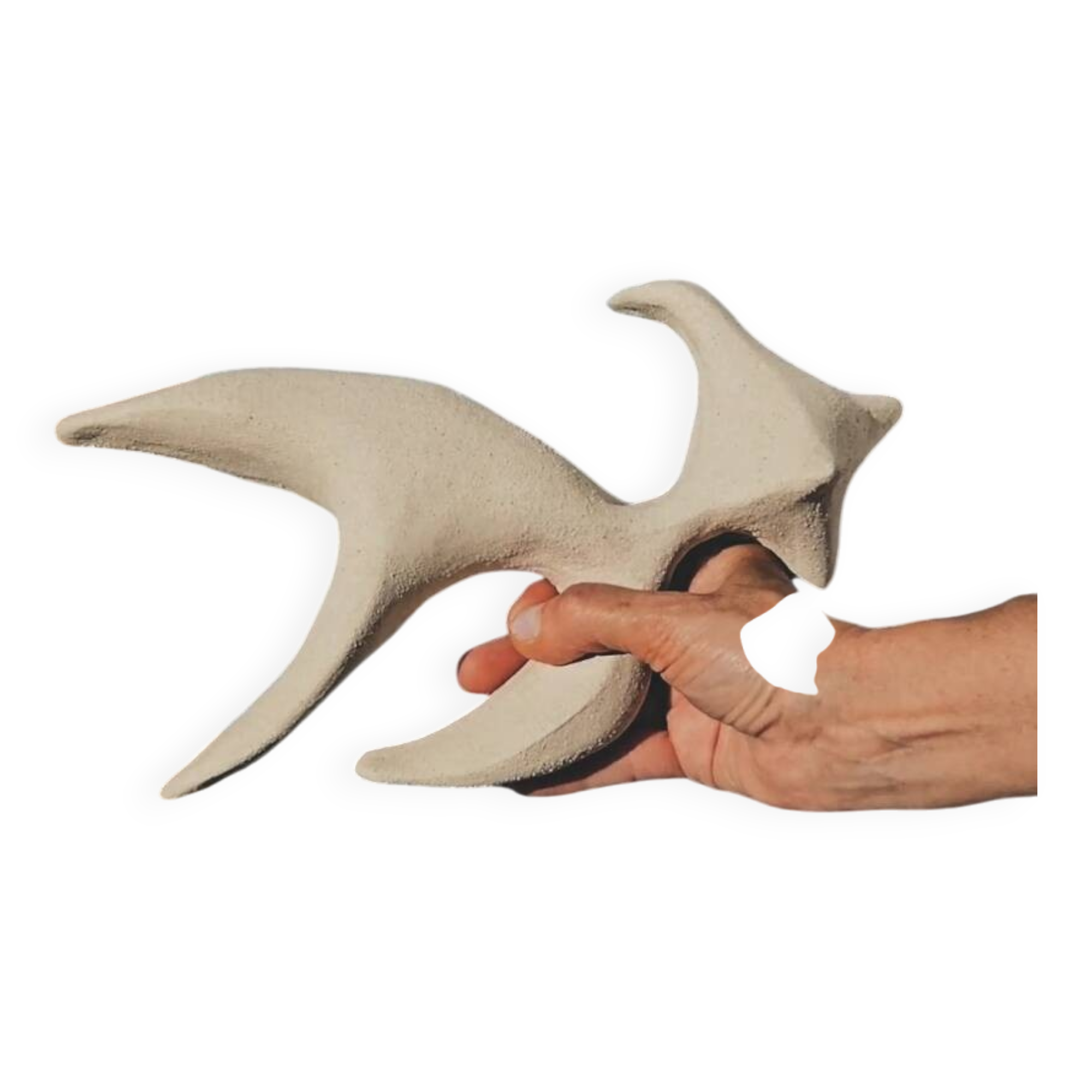 Oiseau hommage à Agnès Varda