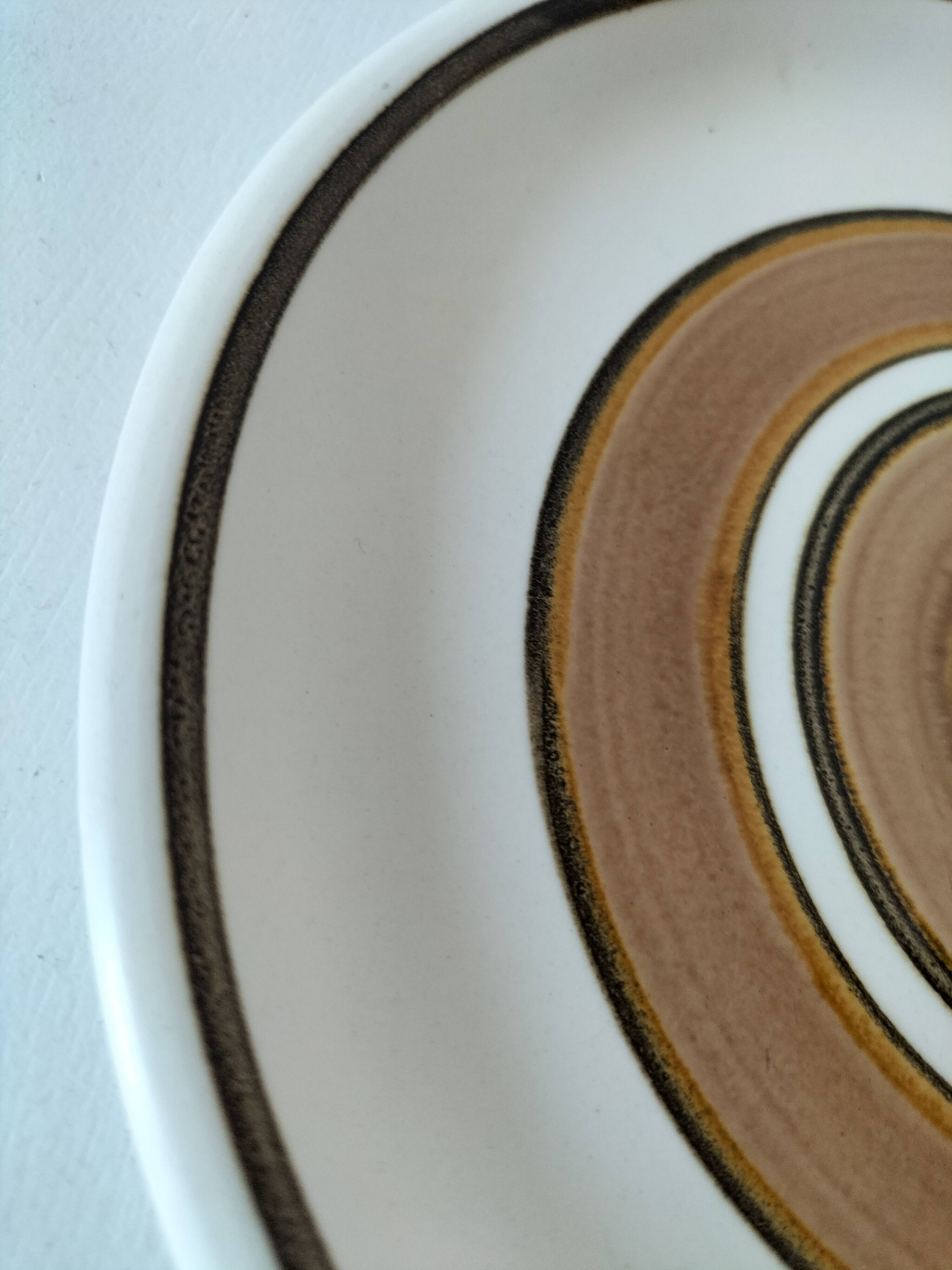 Vintage Salins plate